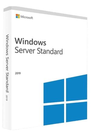 Windows Server 2019 Standard Lisans